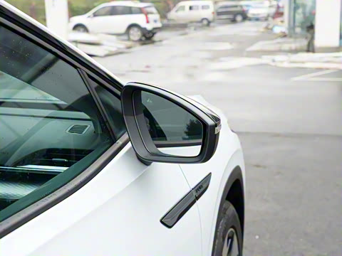 2021�� Pure ������