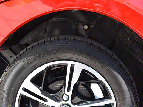 2019�� ���ʰ�