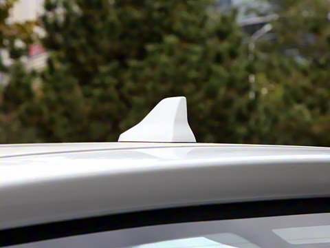 2021�� �촴��