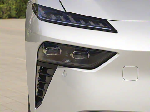 2025�� ���� 565����Max�캽��