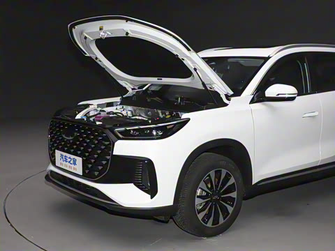 2025�� 290TGDI DCT�˷�� 