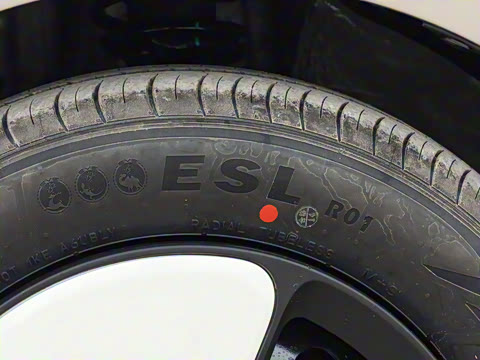 2025�� 205km ���߿�