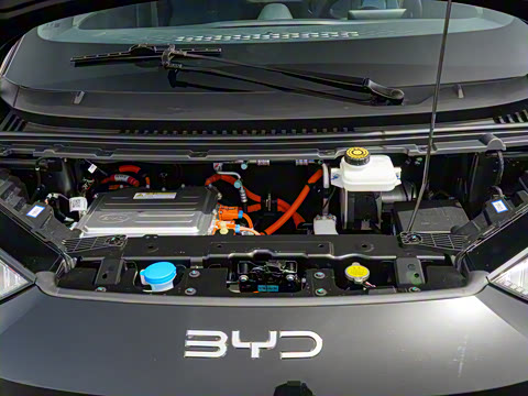 2025�� �Ǽݰ� 305km ������