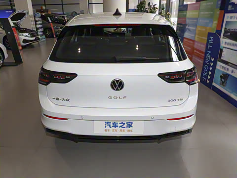 2025�� �Ŀ� 300TSI R-Line