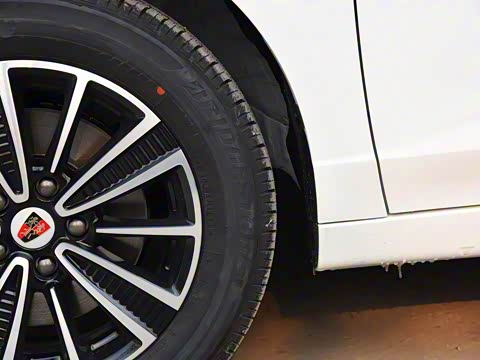 2019�� ���������