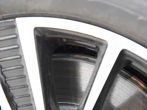 2019�� ���������