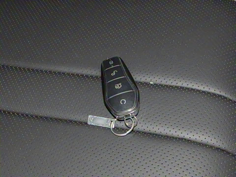 2025�� DM-i �Ǽݰ� 75KM������