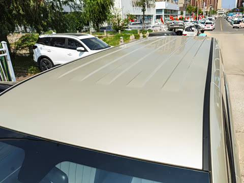 2025�� 2.0L �ֶ���������� 7��