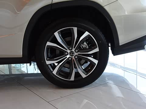 2020�� 300 �������Ű� ��VI