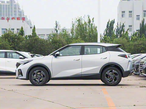 2025�� Ӱ�� 270T ������ ƽ������