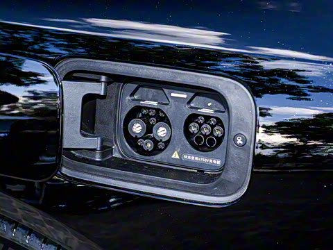 2025�� ���� �ǻ������� 5��