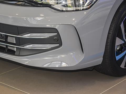 2025�� �Ŀ� 300TSI Pro