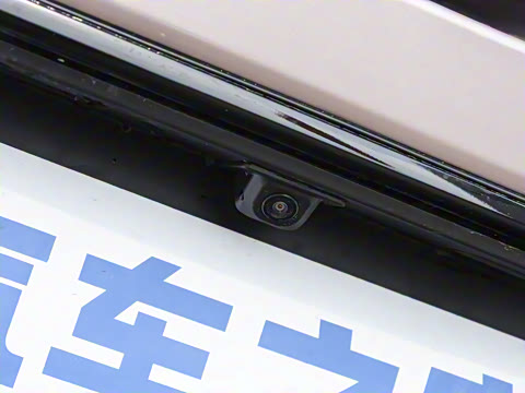 2025�� 445km ���ð�