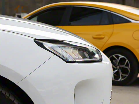 2022�� �������������