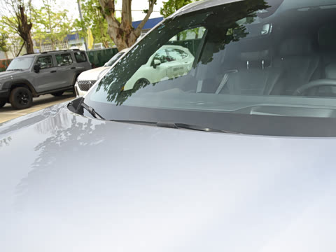 2023�� ��������������