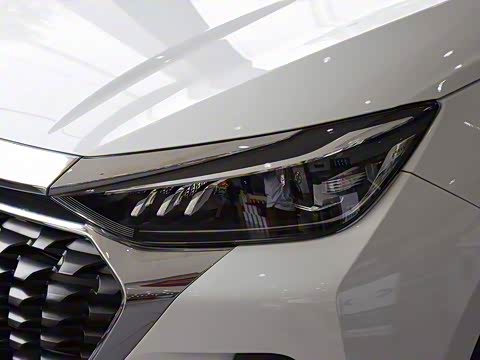 2019�� 1.5T CVT��Ӣ�� ��VI