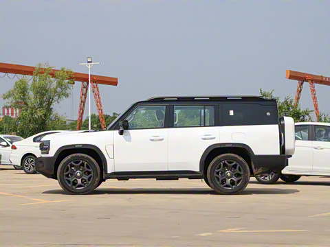 2025�� 2.0TD XWD �Զ������ӳ��� 7��