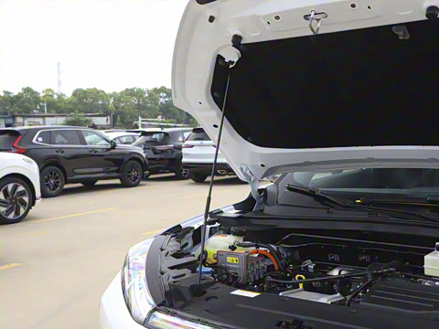 2025�� 205��������������