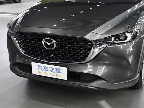 2025�� 2.0L �Զ�����������