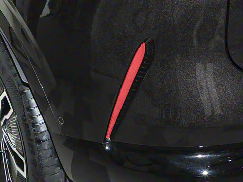 2024�� Max�����