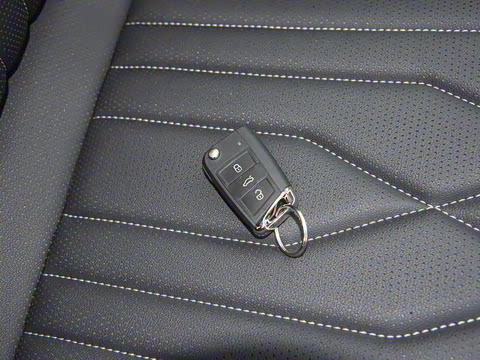 2024�� 380TSI �Զ�����R-LineԽ����7��