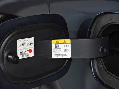 2019�� EcoBoost 245 ������