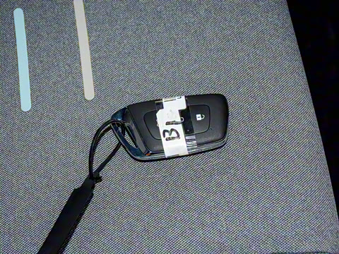 2021�� �Ȱ���