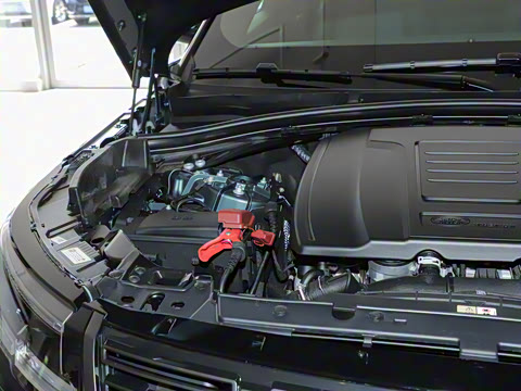 2026�� 250PS Dynamic SE