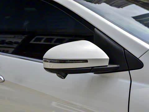 2019�� ������������