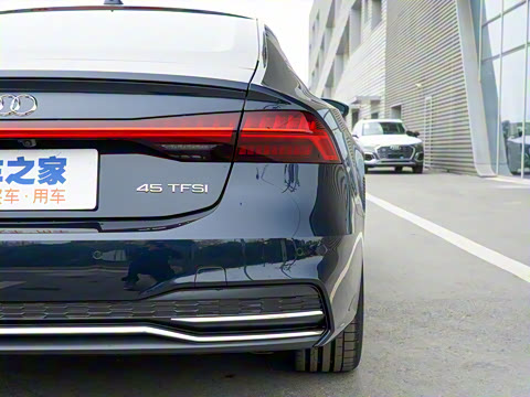 2022�� 45 TFSI ��ѡ��