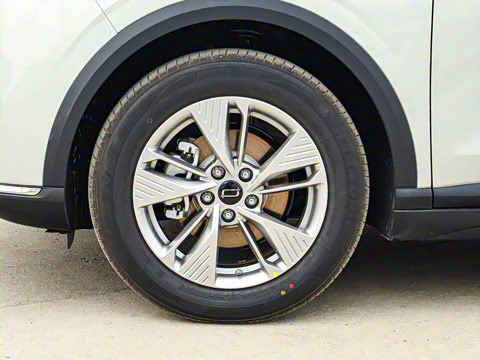 2025�� 565km ������