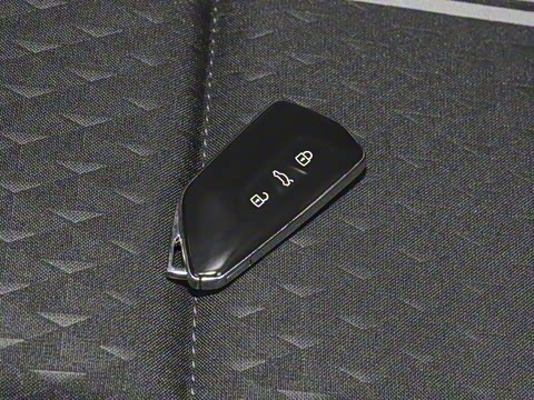 2025�� �Ŀ� 300TSI Pro