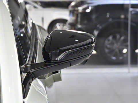 2025�� 690 ��ѡ��