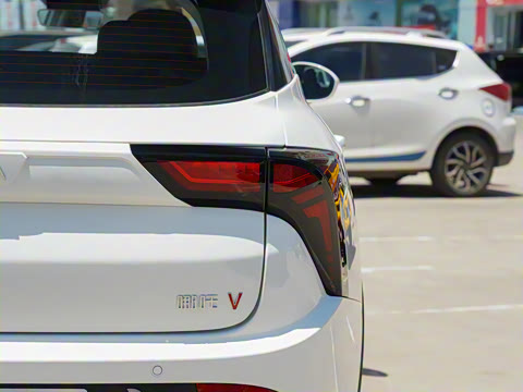 2022�� �� 300 Lite ��Ԫ�