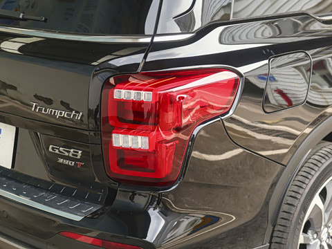 2020�� 390T �������棨������