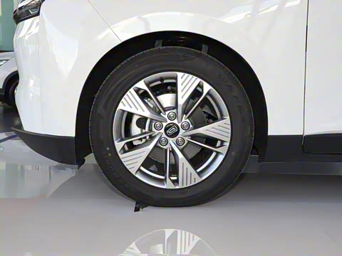 2021�� �г���չ��