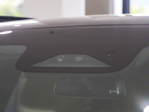 2025�� 725 �������� Max