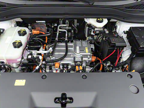 2025�� 565km ������