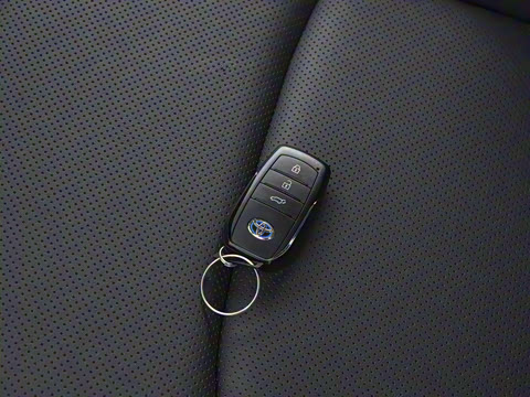 2023�� 2.0L ���ܵ��˫�� ����