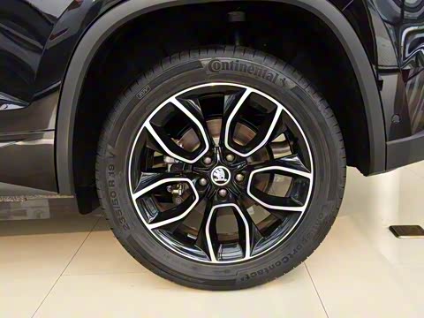 2019�� TSI330 ���������� ��VI