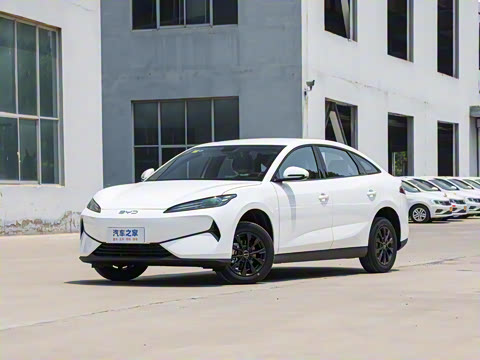 2025�� 520�ǻݰ�