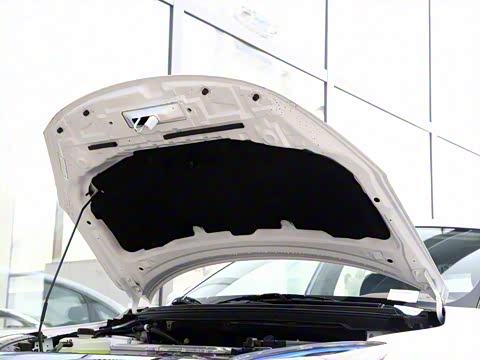 2019�� 500 ������