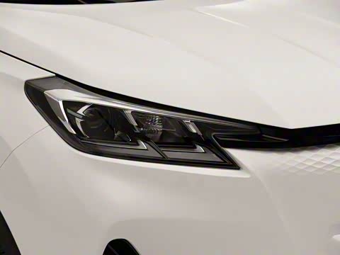 2020�� �����