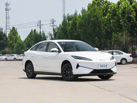 2025�� 520�ǻݰ�