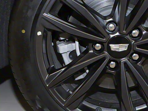 2023�� 25T ������