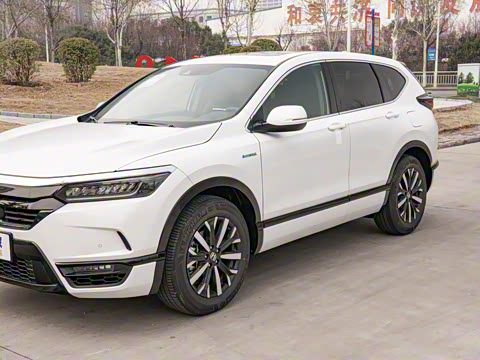 2021�� �񡤻춯 2.0L ����������