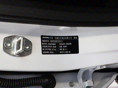 2021�� 2.0T �������ǳ����