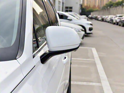 2021�� 2.5T ����������