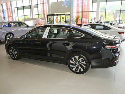 2025�� Pro 300TSI ��ҫ��