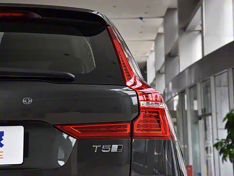 2019�� T5 �������ź����� ��VI